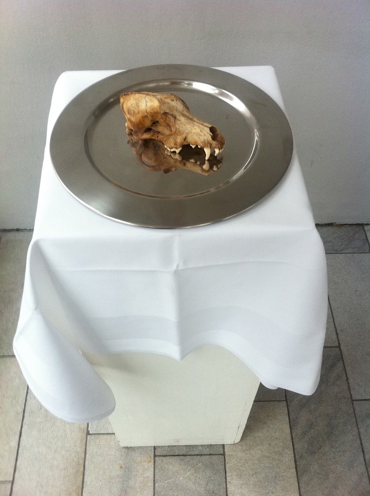 Abysshöllzahnwächter.