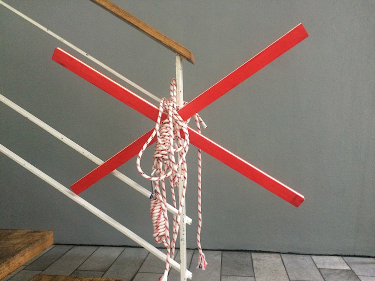 Elisabeth Rosenthal.