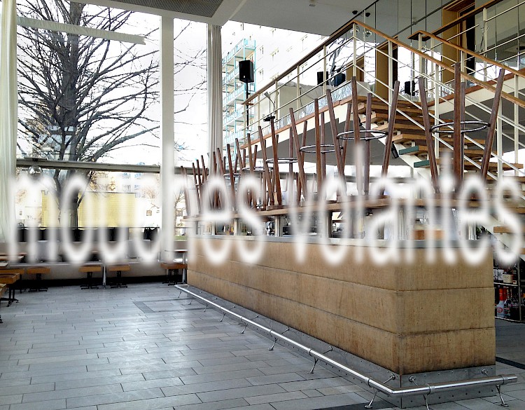 “mouches volantes”.