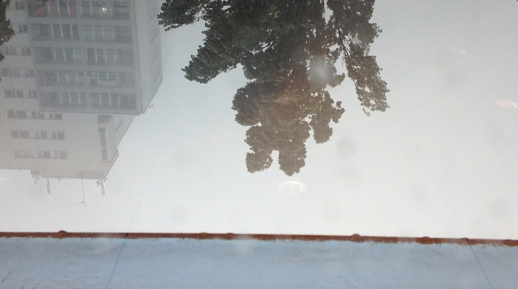 "counting back from zero".